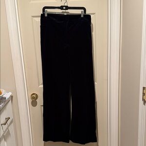 NWT Talbots Elegant, Midnight Blue Velvety Women's Pants, Size 22W